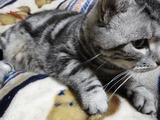 画像 009