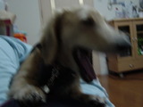 ¤¢¤¯¤Ó3