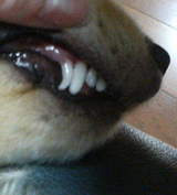 200502201804.jpg