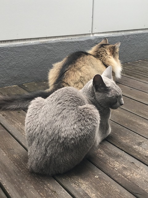 1870DFA4-1C5C-4E56-9DA7-49E500A196EB