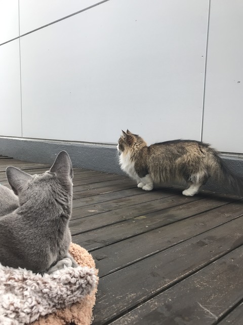 108661F0-16DE-45AF-8001-A3AAE546FE0A