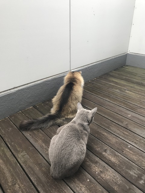 CC3C9999-062A-44BA-AEAF-F7E4182E266E