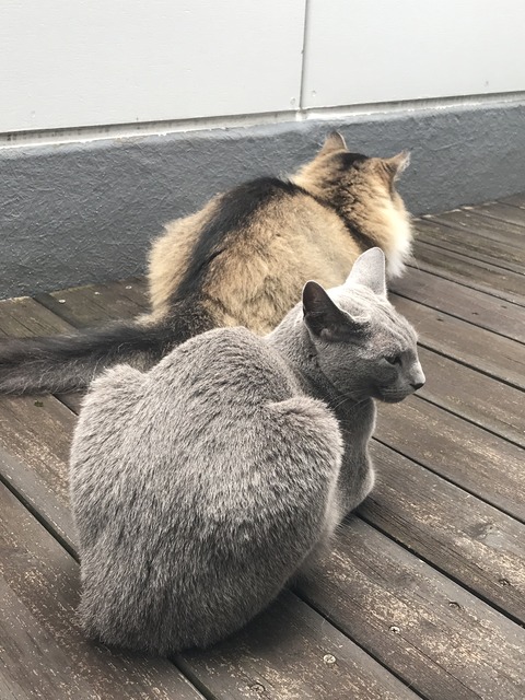 C37EF2A5-7D2B-44FA-B6E1-B0F70BDCB2F5