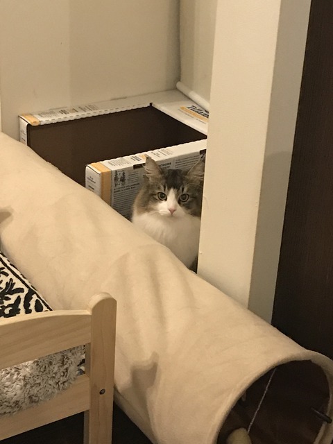 AA5FEDD6-F80F-4785-A609-50F05E027C1A