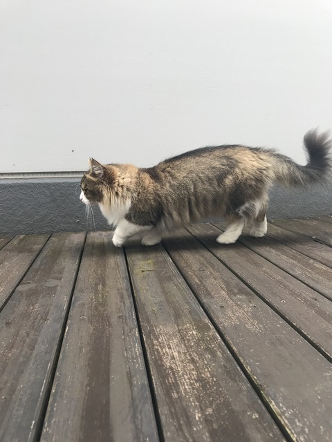 B451632B-3F98-4755-8362-48F856EC8197