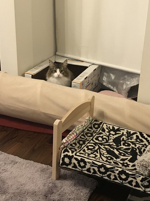 404F898F-C4A7-4922-A0C2-A6F352EBD17D