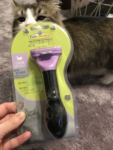 F72DEDA8-C454-47C5-8B63-44414D54200F