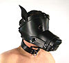 doggycollar