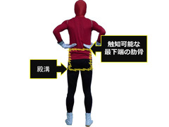 腰部 図2_edited-1