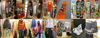 salomon13