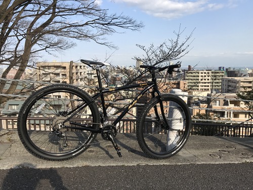 百花繚乱なセミファット ~27.5プラス計画(1) : 電子仕掛けのリンゴ