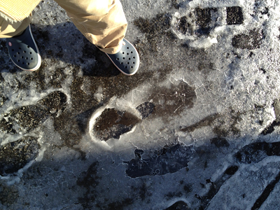 ice...