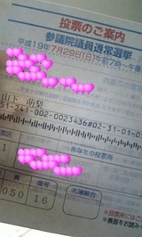 8b500713.jpg