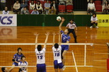 1020d546.jpg