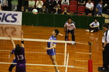 20c97682.jpg