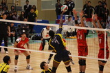 3e6c801a.jpg