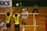 4ac04f0a.jpg