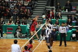 4cdf006a.jpg
