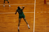 74d03975.jpg