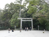 850a4177.jpg