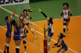 92fa7513.jpg