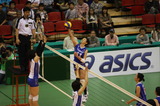 aaacd511.jpg
