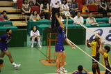 c01735ab.jpg