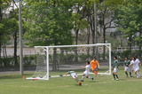 cf06107d.jpg