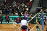 fe9d80cb.jpg