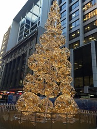 IMG_6739