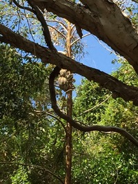 th_IMG_4456