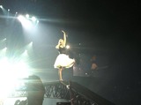 taylor in auckland
