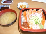 salmon