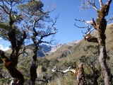 view1