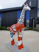 nz safty