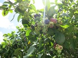 s-IMG_5199