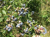 s-IMG_5198