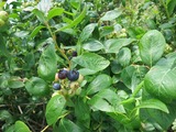 s-IMG_5187