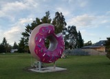 donut