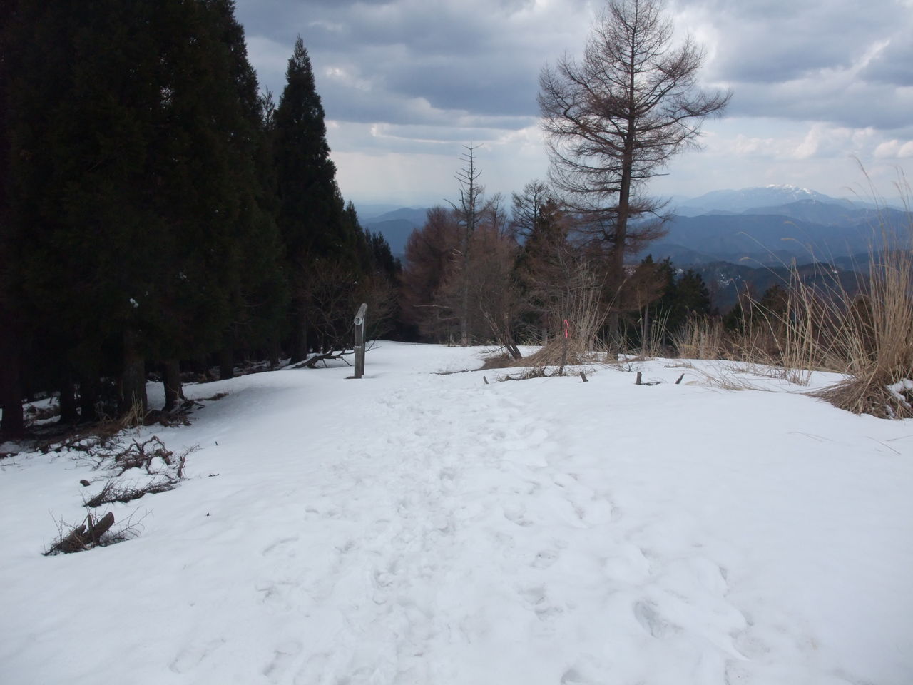 日名倉山