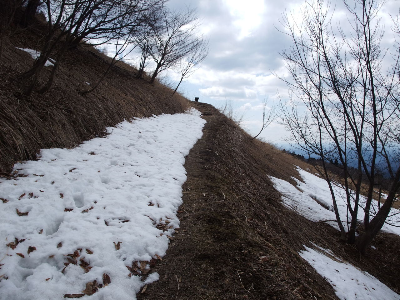 日名倉山