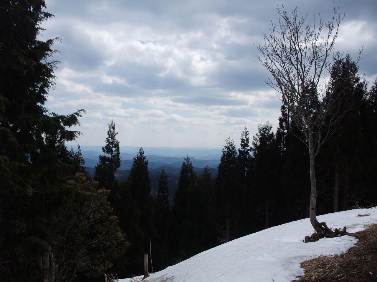 日名倉山 荒尾山 東山 千町ヶ峰