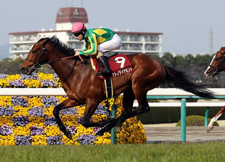 http://livedoor.blogimg.jp/ltdslip2000/imgs/0/5/05d7478f.jpg