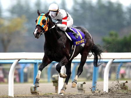 http://livedoor.blogimg.jp/ltdslip2000/imgs/0/e/0ea604c0.jpg