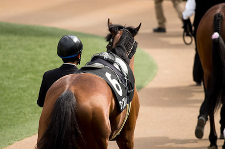 種牡馬リーディングがキズナとロードカナロアの2強か