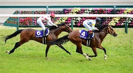 http://livedoor.blogimg.jp/ltdslip2000/imgs/3/4/34e2abef.jpg