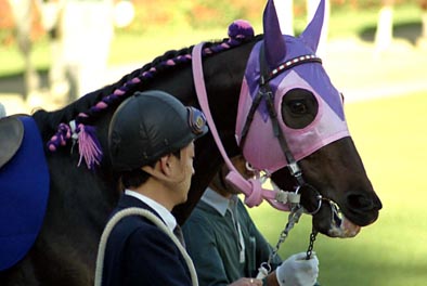 競馬】平成三強（ｵｸﾞﾘ・ｽｰﾊﾟｰｸﾘｰｸ・ｲﾅﾘﾜﾝ）について語ってくれ