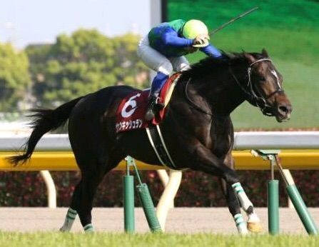 http://livedoor.blogimg.jp/ltdslip2000/imgs/5/5/55fb3d51.jpg