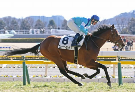 新種牡馬グレーターロンドン新馬2勝目ｗｗｗ