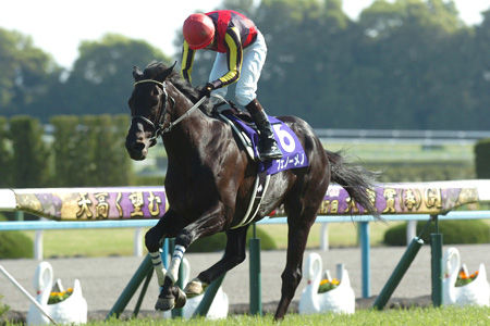 http://livedoor.blogimg.jp/ltdslip2000/imgs/9/d/9d224318.jpg
